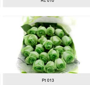 Envio y venta de flores ,rosas, plantas,arreglos florales ,regalos y desayunos a domicilio con delivery gratis en la Ciudad Autonoma de Buenos Aires y con costo de env�o en localidades del Gran Buenos Aires asi como delivery de flores y plantas a trav�s de florerias asociadas en todas las provincias de la Argentina, Buenos Aires, la Pampa, Tucuman, La Rioja, R�o Negro, Entre Rios, Corrientes, Misiones, Neuquen, Chubut, Tierra del Fuego, Santa Cruz, San Luis, Mendoza, Cordoba, Jujuy, Formosa, Santiago del Estero, Salta, Chaco, Catamarca ,San Juan, y ademas realizamos el delivery de flores ,coronas,palmas , plantas y regalos a todas las ciudades de Argentina, Mar del Plata, C�rdoba, Buenos Aires, con cargo en Santa Rosa, La Plata, Bella Vista, Neuquen, Pilar, Paran�, Posadas, Resistencia, Cipolleti y mas de 300 ciudades y localidades en todo el territorio de nuestro pa�s, asi como tambien tenemos la posibilidad de enviar flores a casi todo el mundo en cuestion de horas